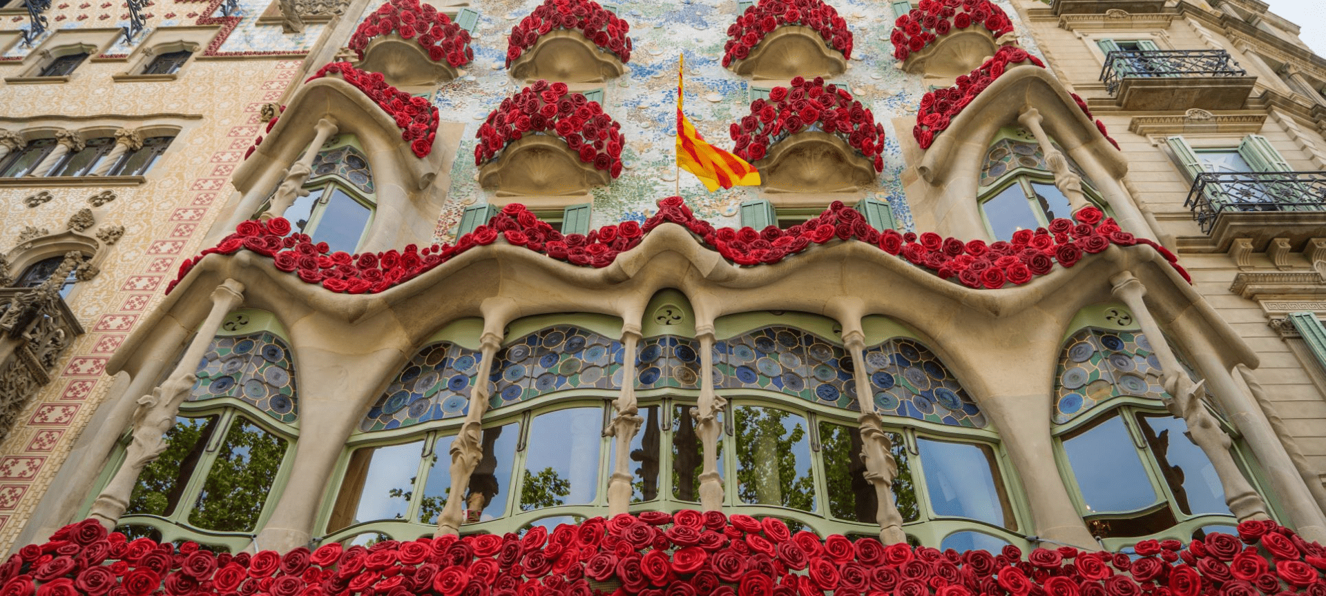 Red roses and a book – traditional symbols of Sant Jordi in Barcelona